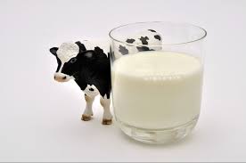 Whole Milk