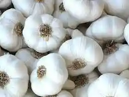 Ail Colossal à la Pièce